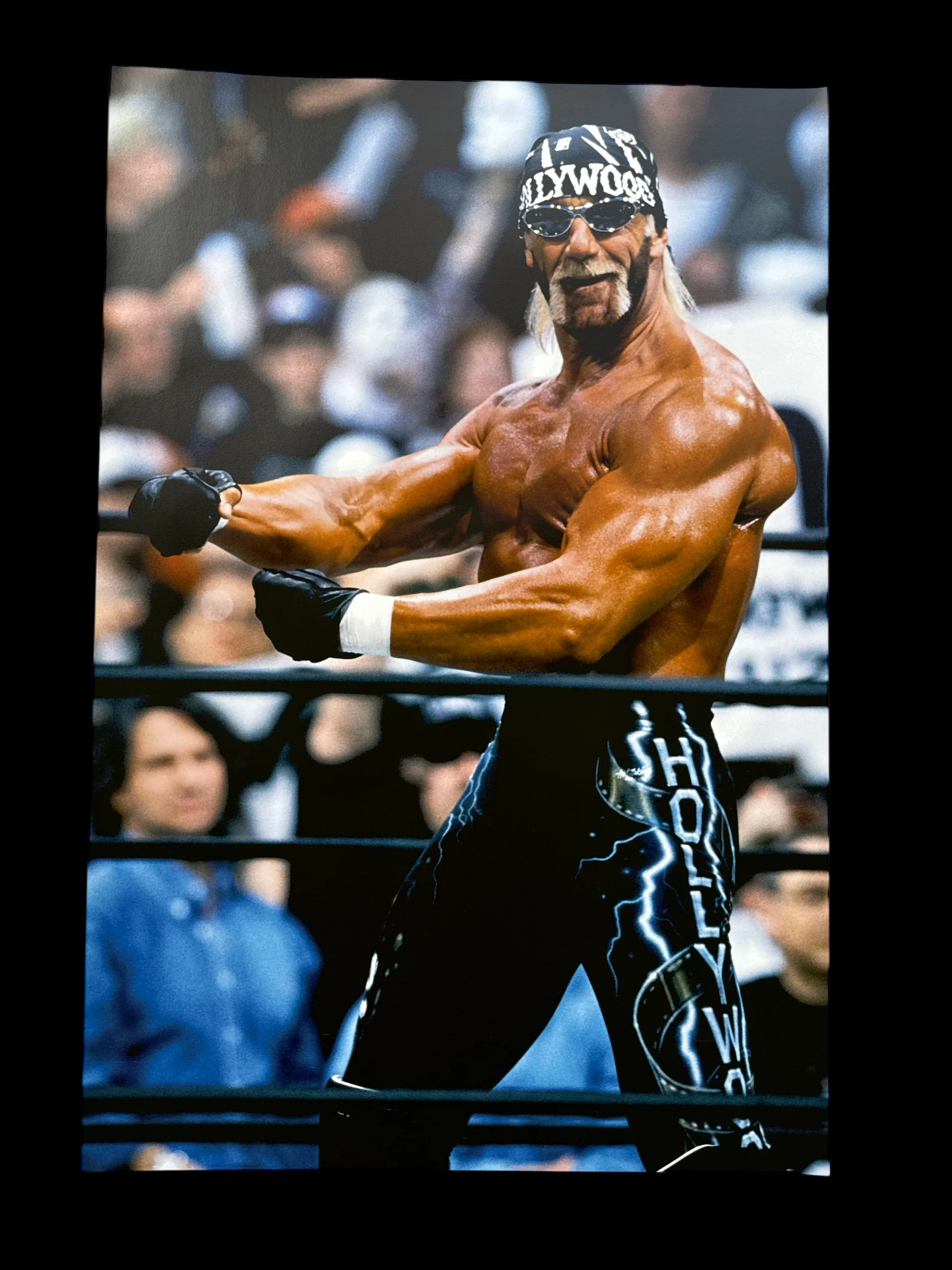 Hollywood Hogan Side Flex 24x36 Poster Unsigned