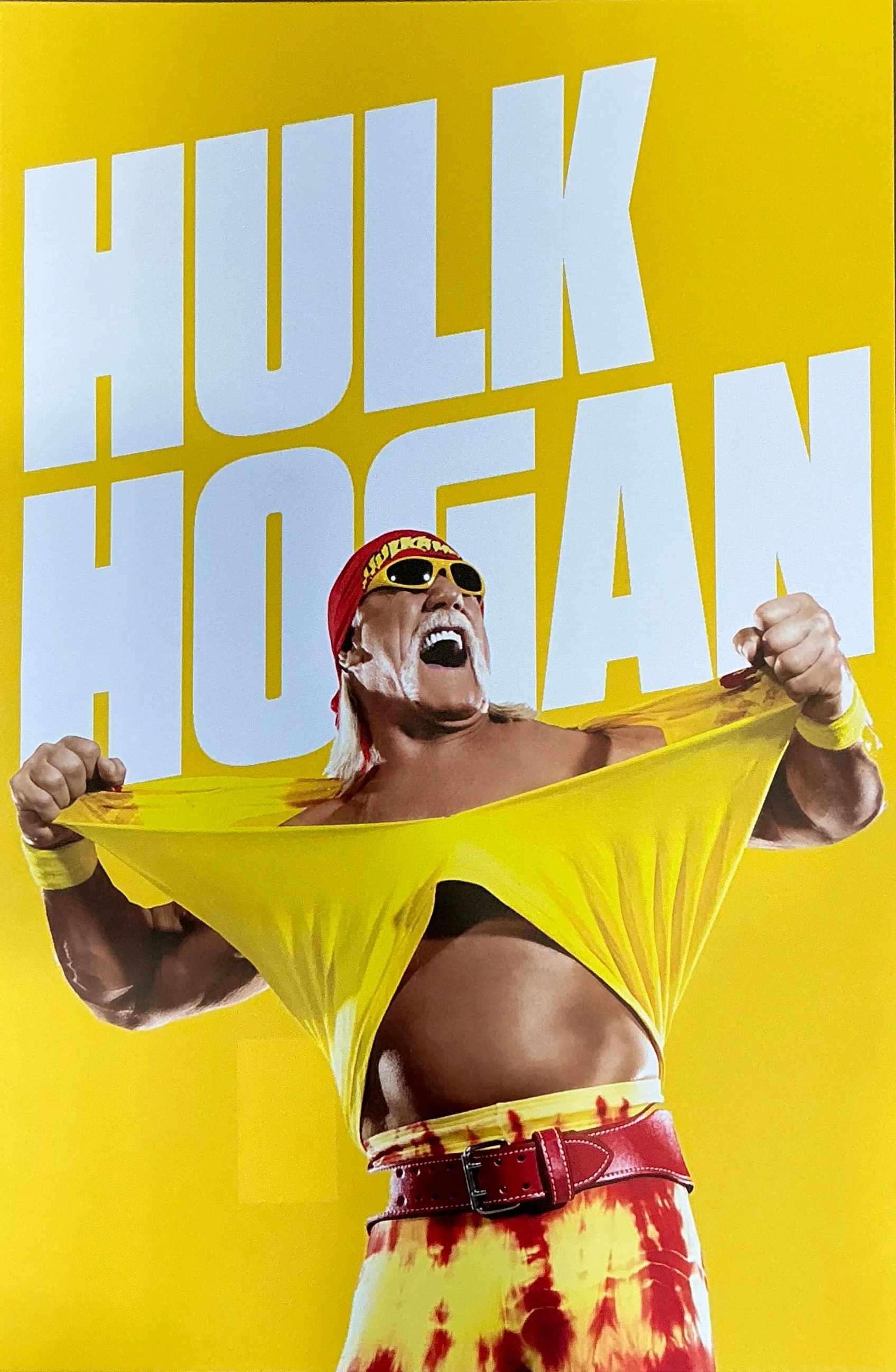 Hulk Hogan 24x36 Canvas