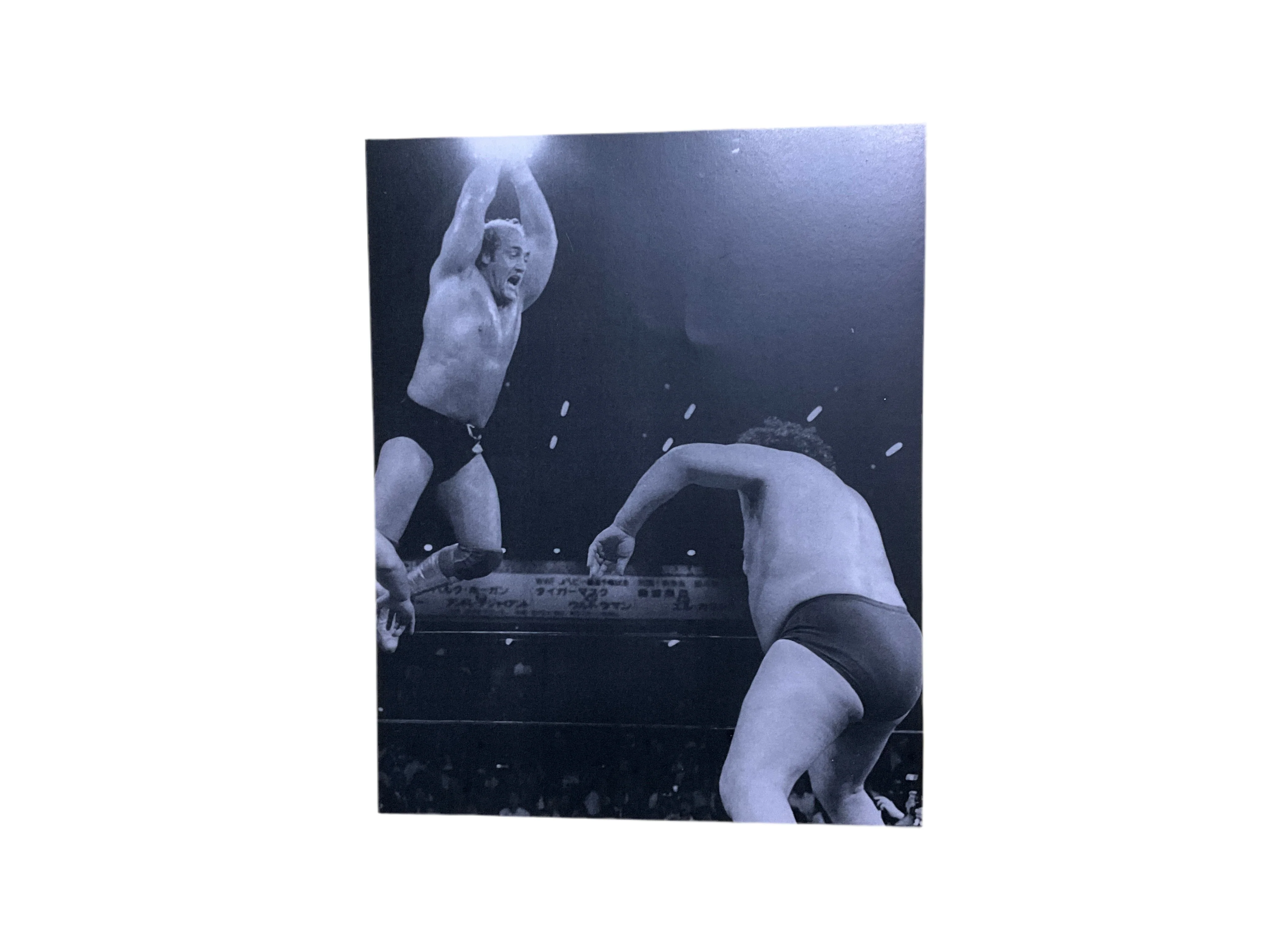Hulk Hogan Andre the Giant Japan Rope Jump Unsigned 8x10 Photo