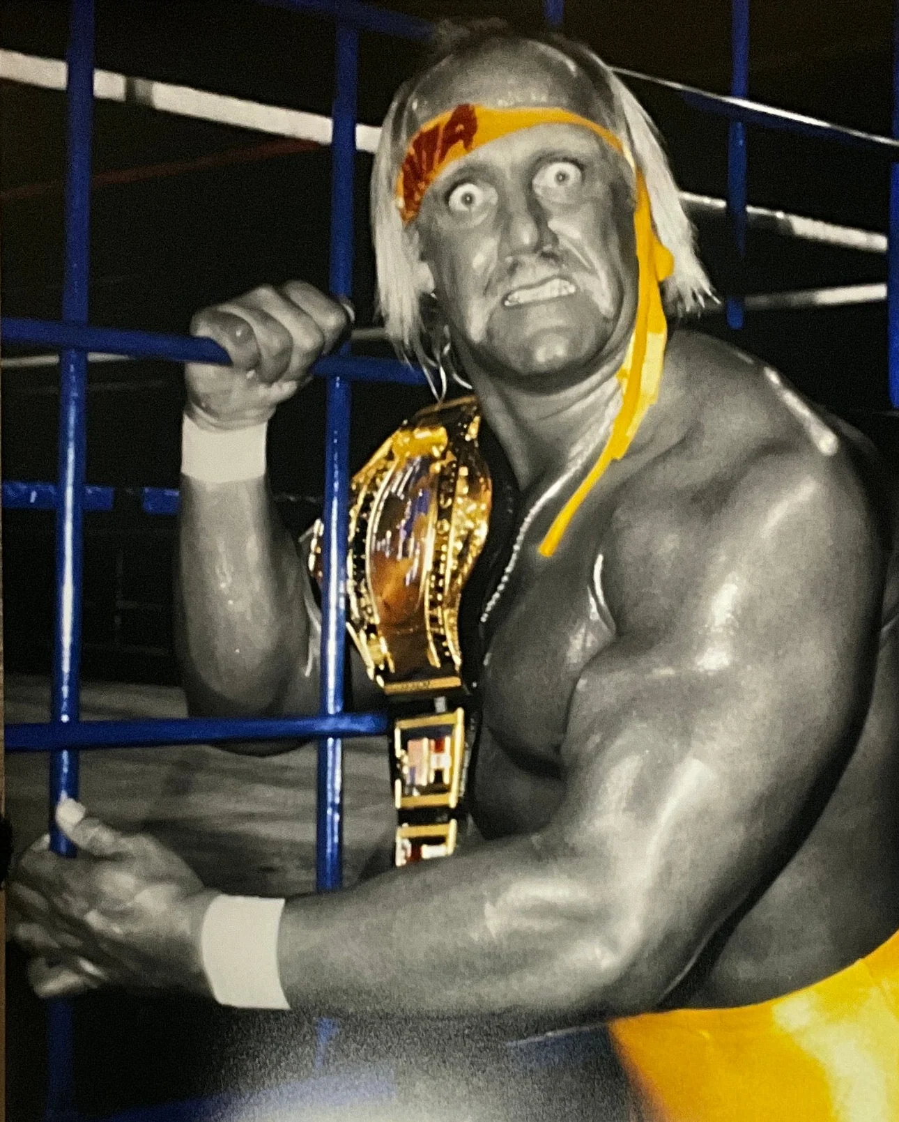 Hulk Hogan Black & White Blue Steel Crazy eyes 16x20 Poster UNSIGNED