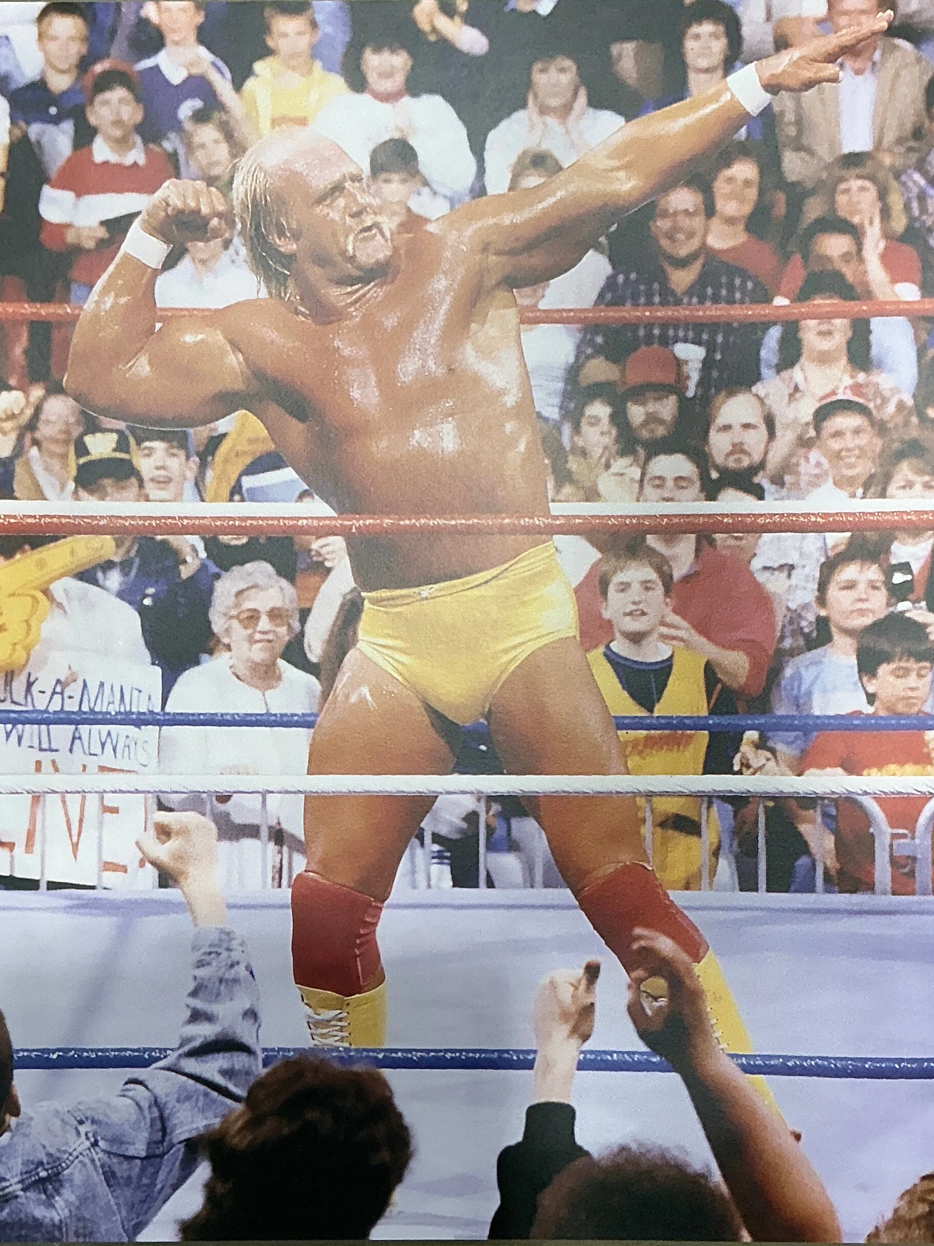 Hulk Hogan "Bow n' Arrow" 16x20 Poster UNSIGNED