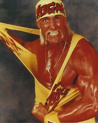 Signed Hulk Hogan Hulkamania Ringside Exclusive Storm Figure - Image 5
